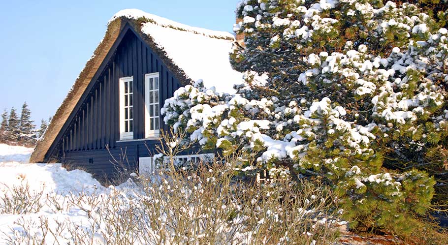 Reetdachhaus im Winter
