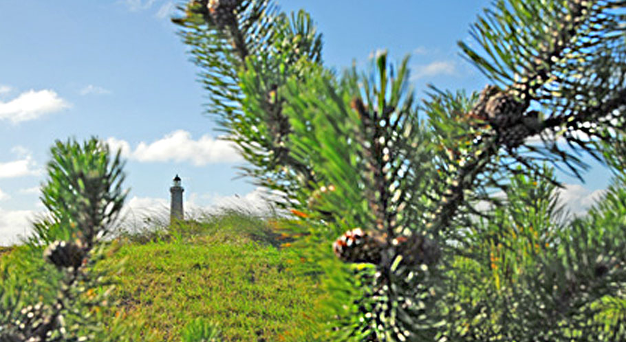 Blick auf den grauen Leuchtturm von Skagen