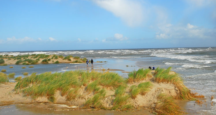 Wanderung zur Landspitze – hier treffen sich Nord- und Ostsee