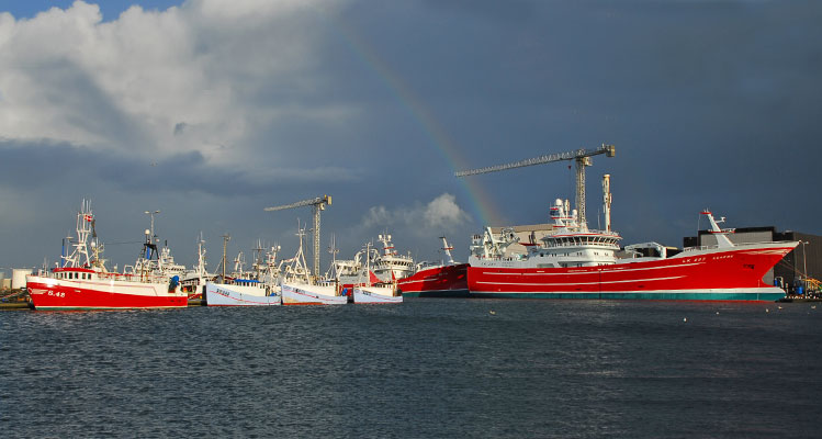 Unter einem Regenbogen – Schiffe in Skagens großem Fischereihafen